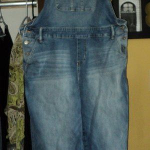 Torrid Blue Jean Overalls